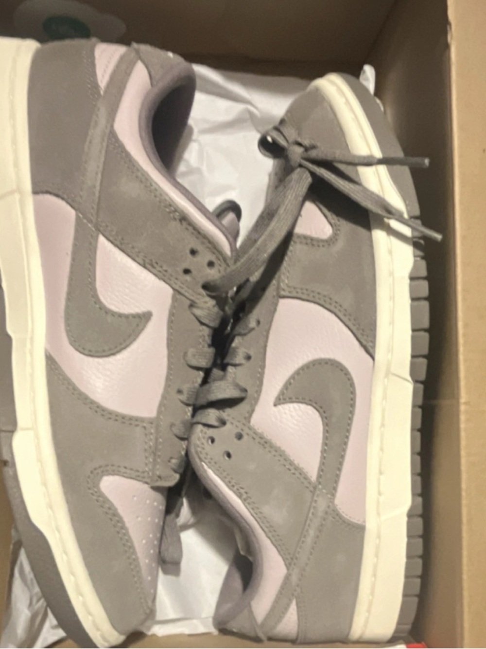 Nike Dunk Low Retro SE Red Box Label